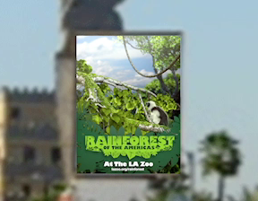 LA Zoo Rainforest- Experiential Digital Board