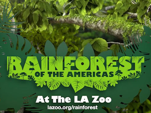 LA Zoo Rainforest- Pre Roll